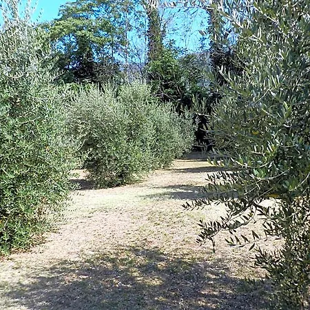 Panzió Maria 4*