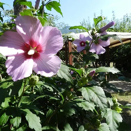 Maria 4* Terni