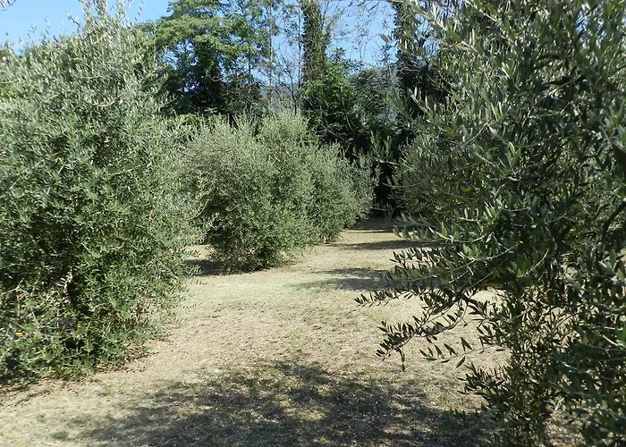 فندق مبيت وإفطار Maria تيرني